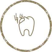 Stomatologia zachowawcza z endodoncją